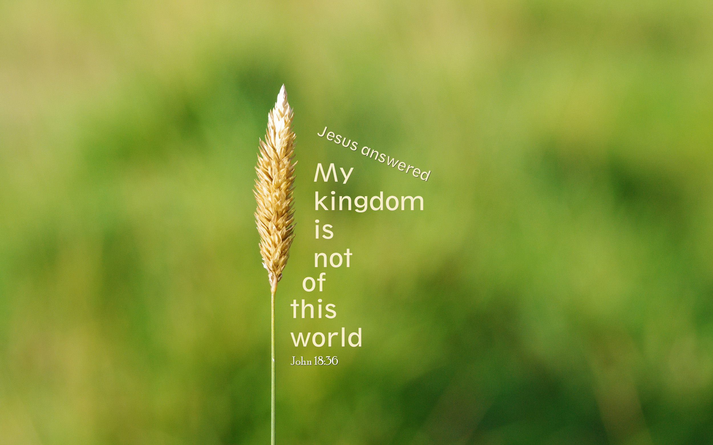 My kingdom is not of this world.