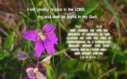 Isaiah 61:10 - Bible Desktop Background