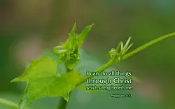 Philippians 4:13 - Bible Desktop Background